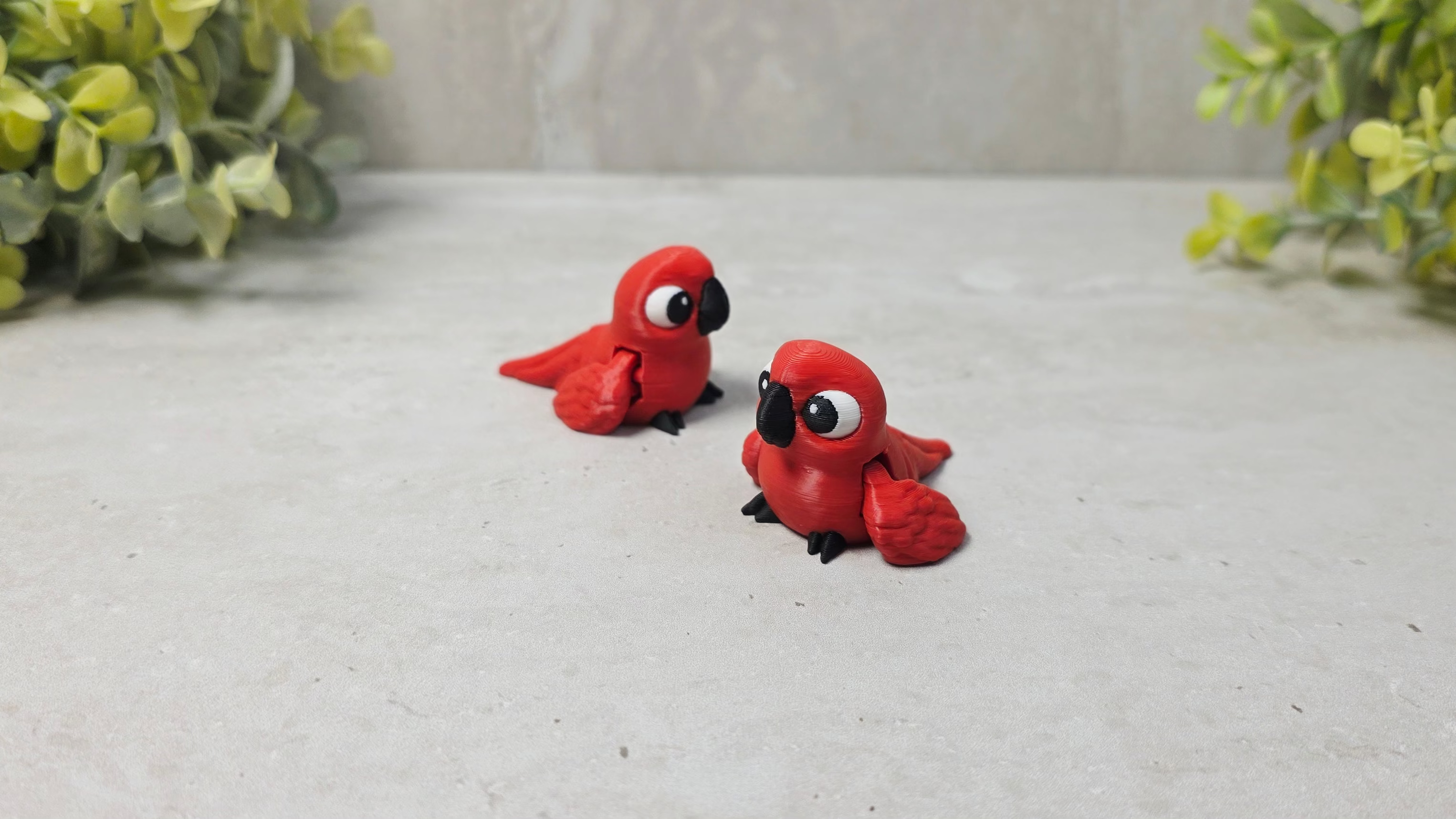 Scarlet Red Macaw