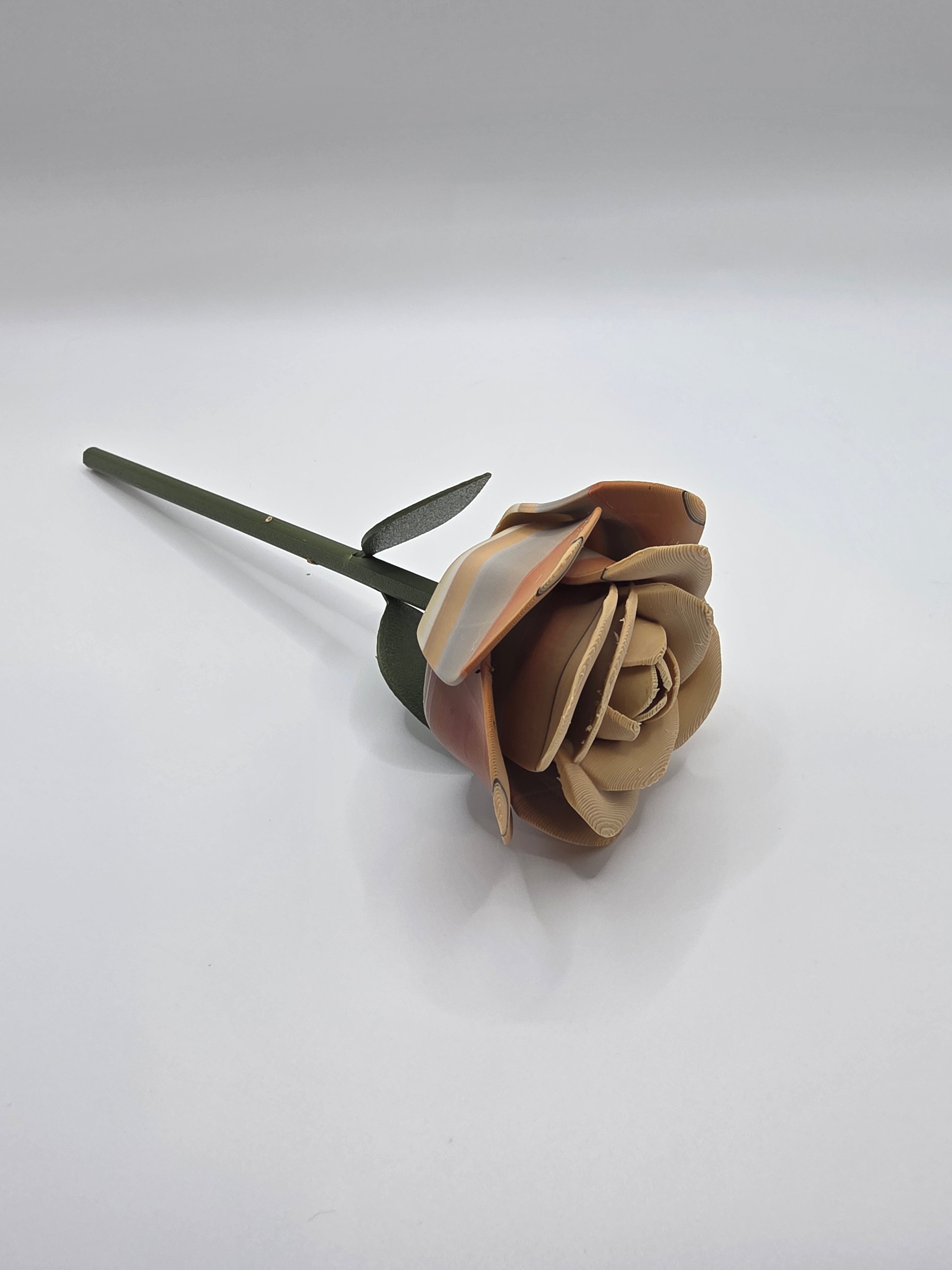 3D Printed Rose - A Flush Object, Multi Colors
