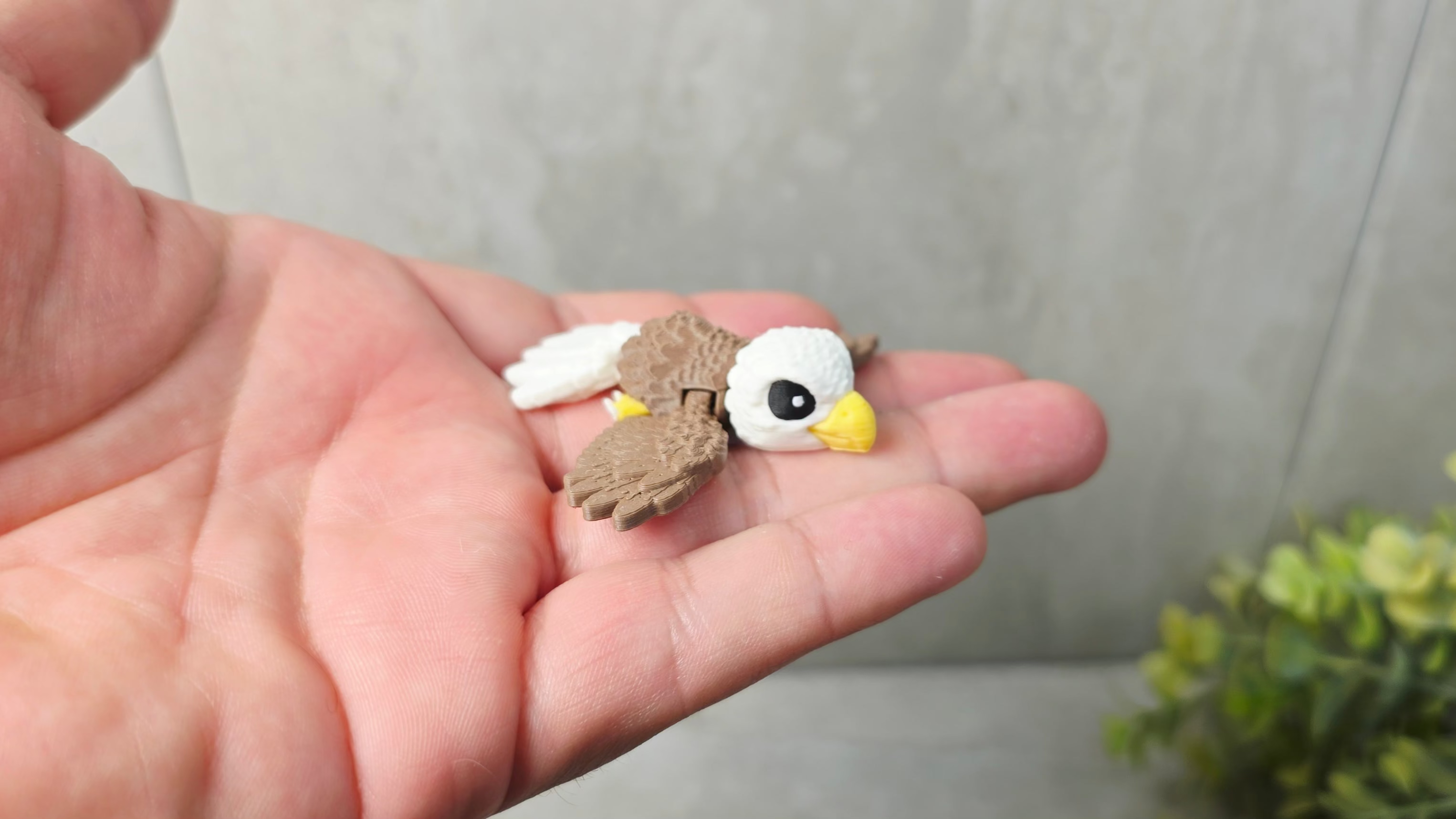 Flying Eagle
