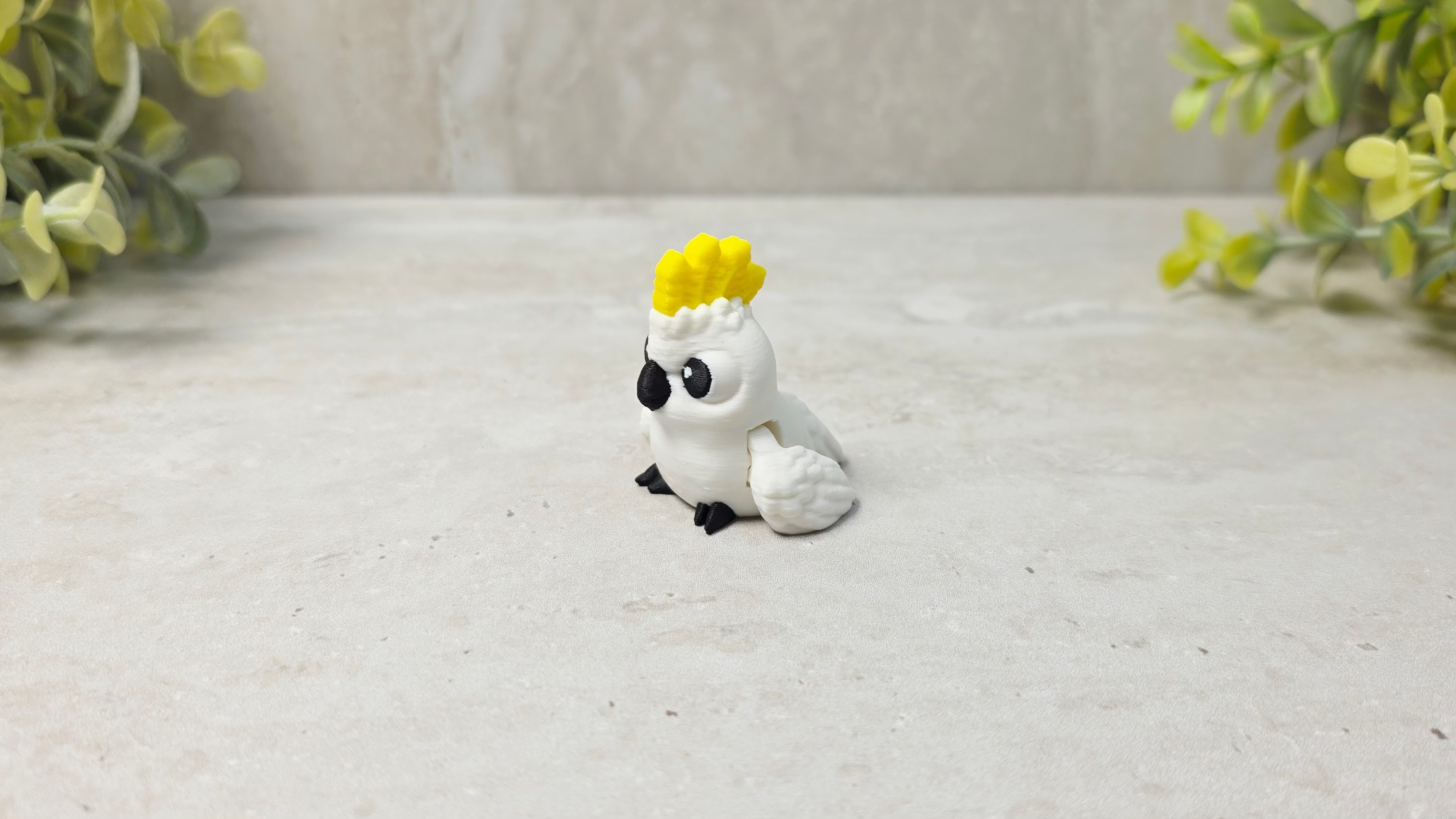 Cockatoo