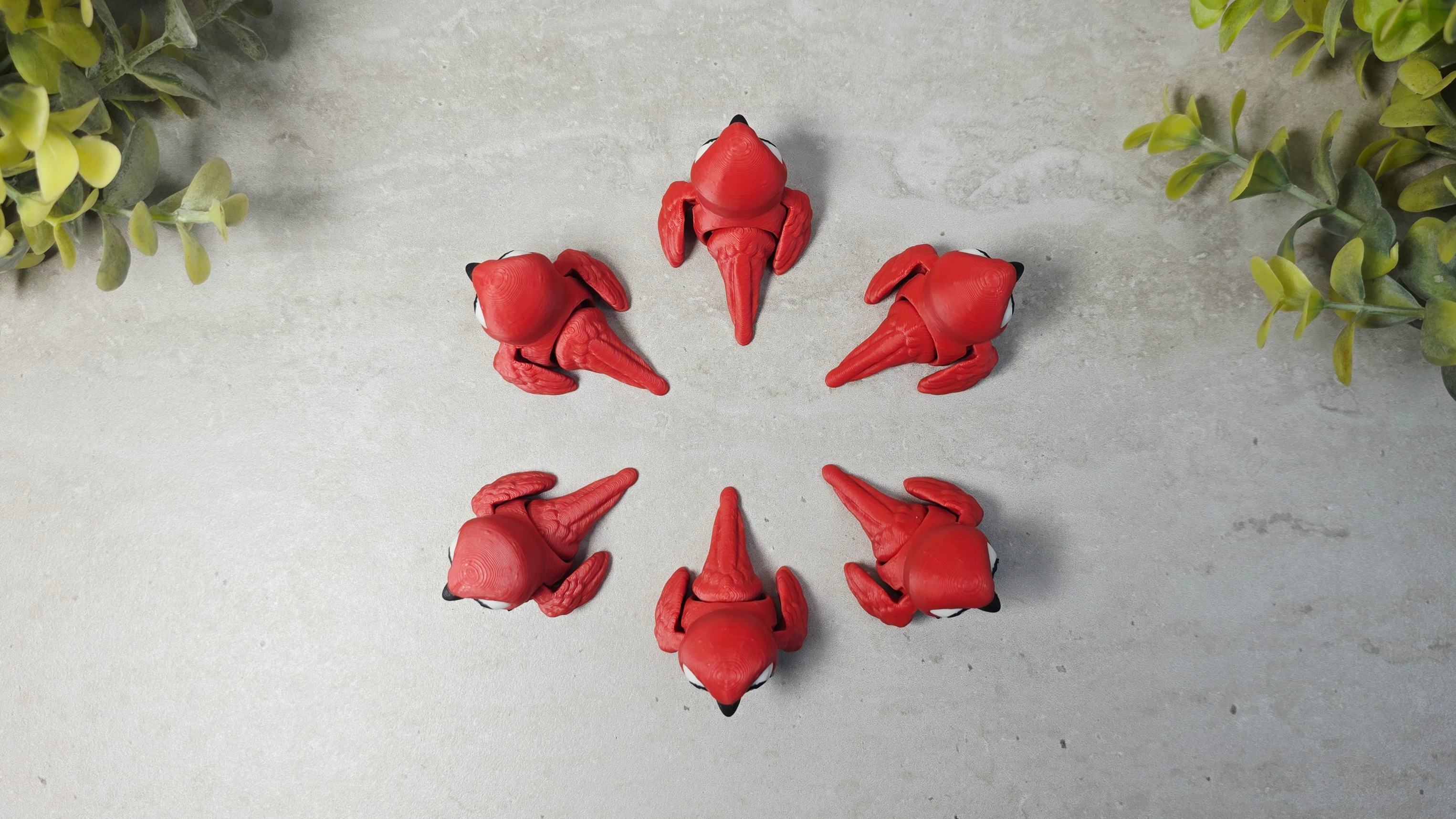 Scarlet Red Macaw