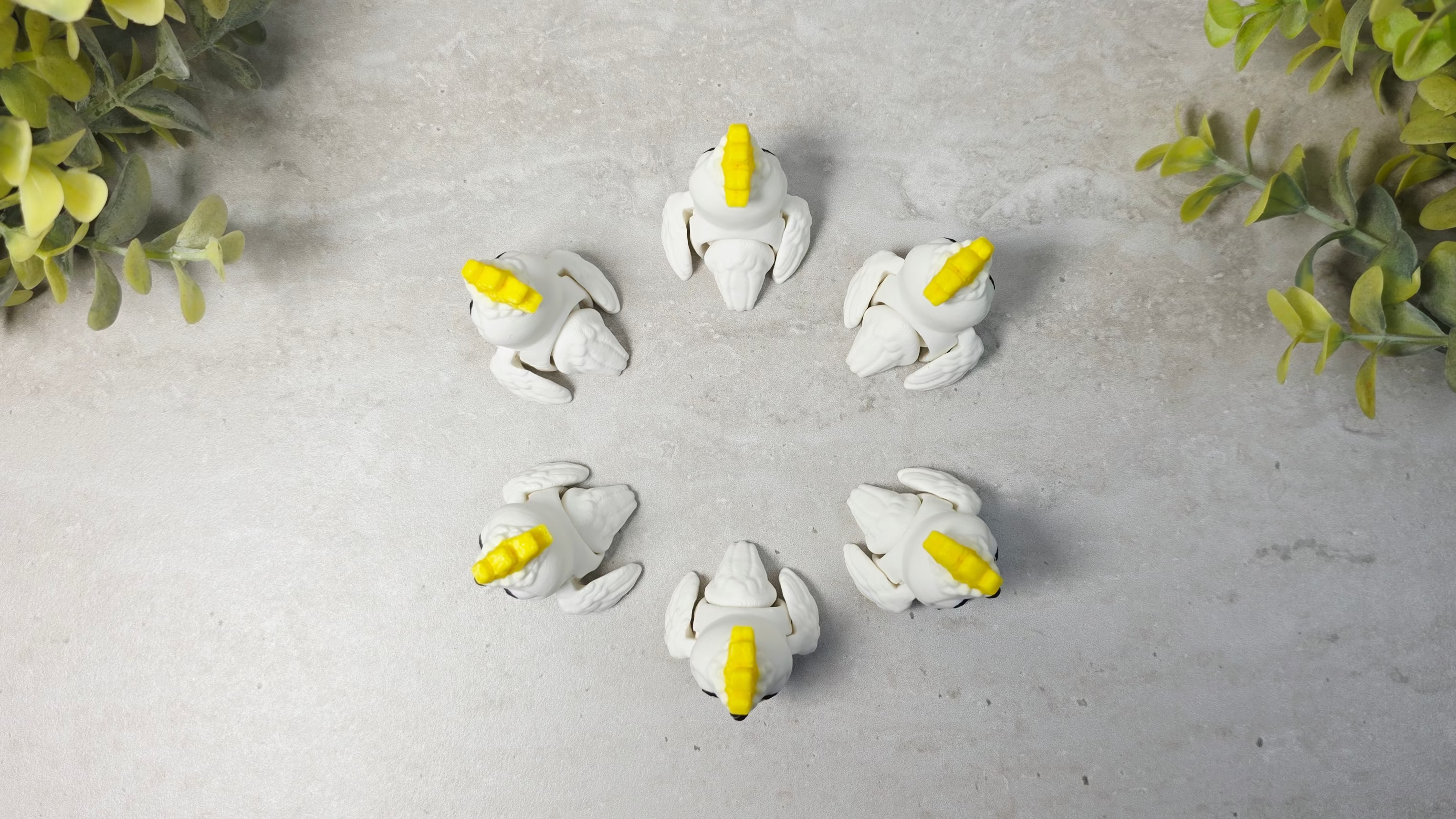 Cockatoo