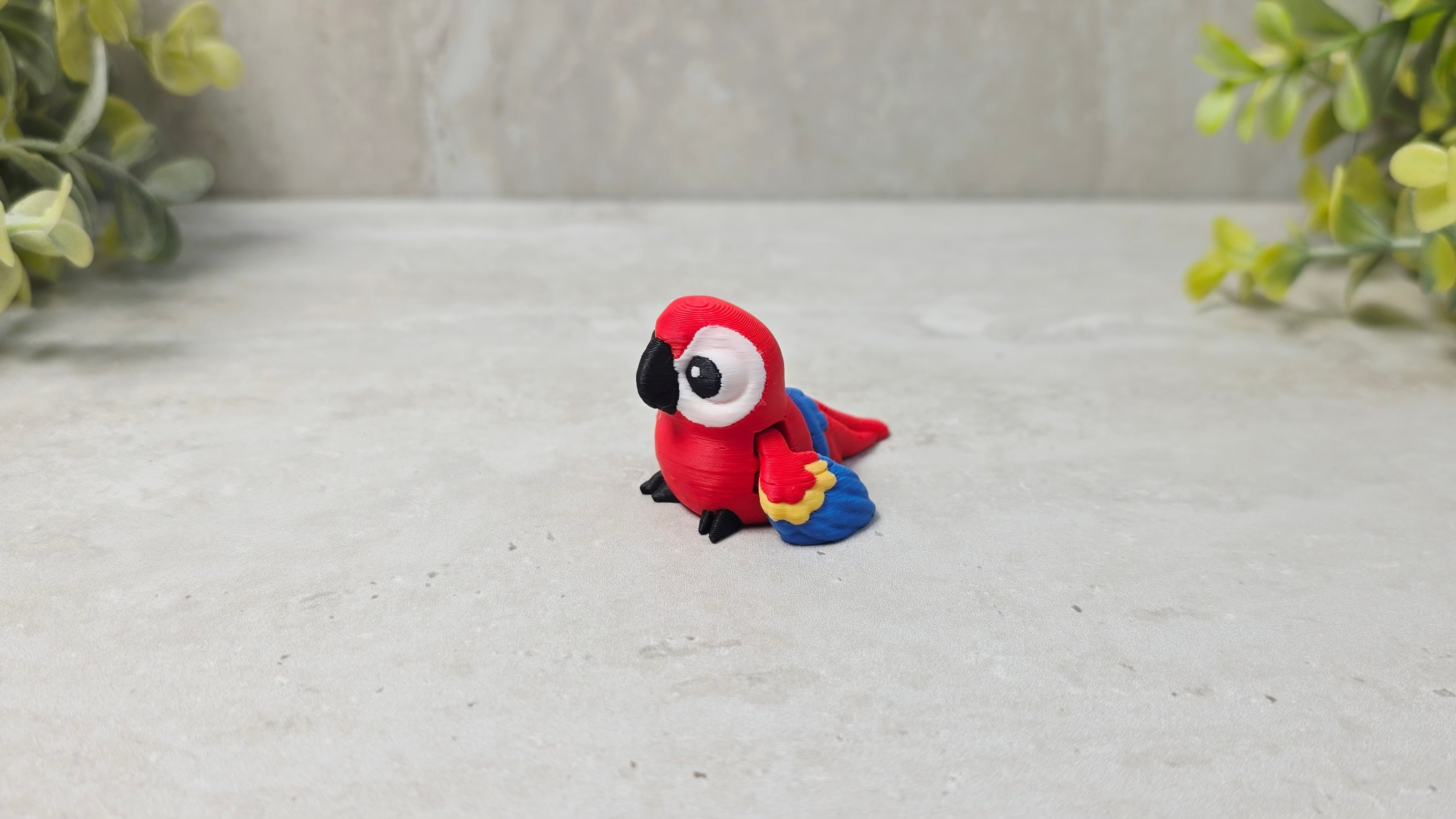 Scarlet Macaw