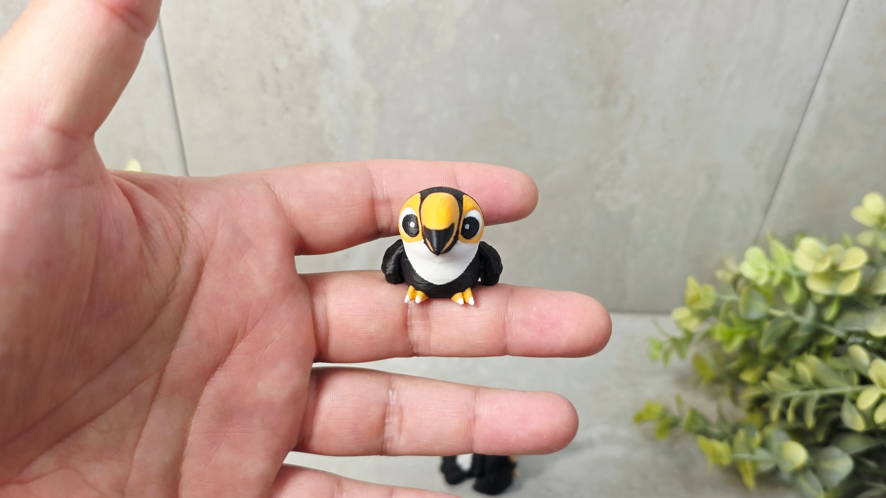 Toucan