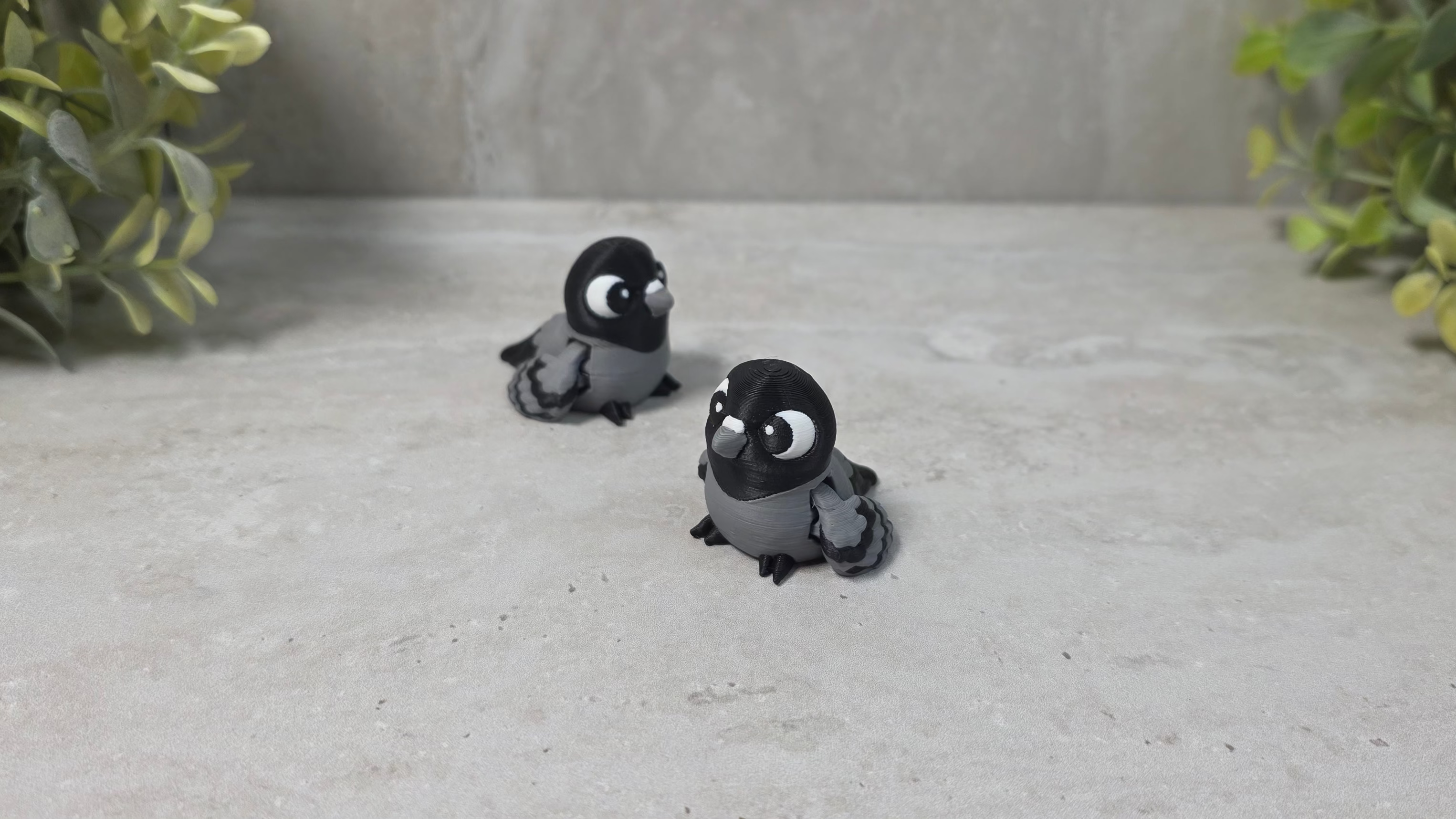 Backyard Birds Collection - Little Buddies