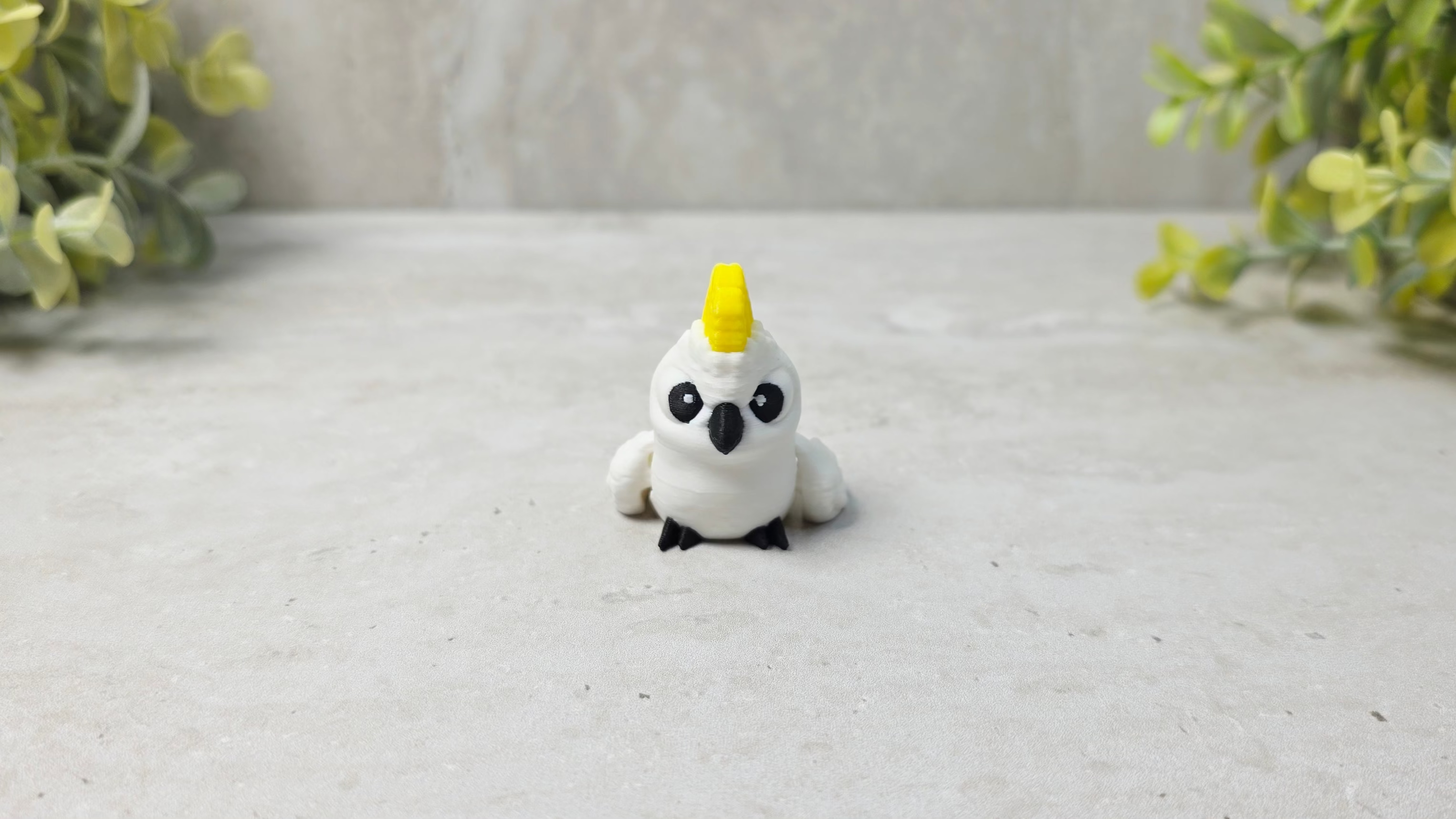 Cockatoo