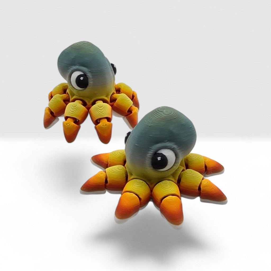 Octopus